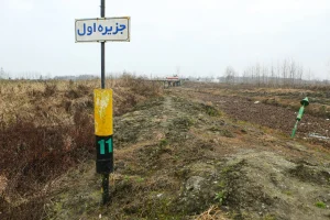 مرگ تدریجی تالاب انزلی؛ وقتی رویاهای سبز به لکه‌های خشک تبدیل می‌شوند