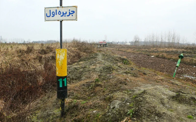 مرگ تدریجی تالاب انزلی؛ وقتی رویاهای سبز به لکه‌های خشک تبدیل می‌شوند